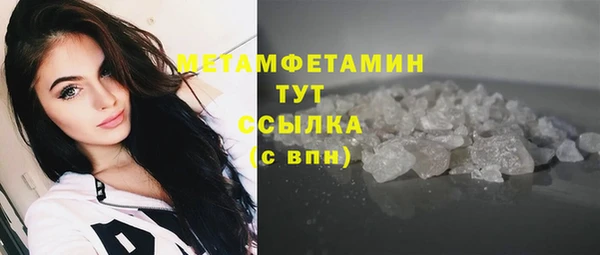 крисы Богородицк