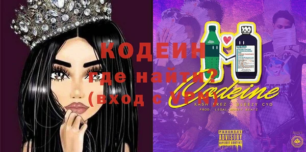 крисы Богородицк
