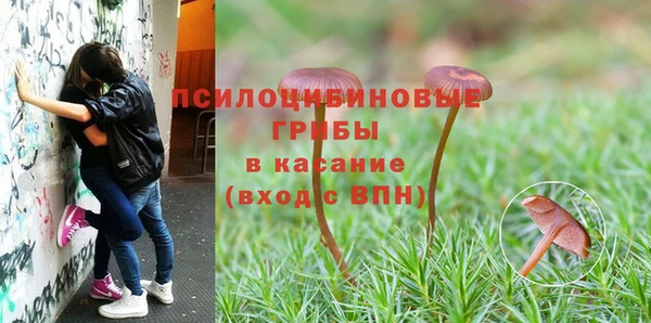 мет Богданович
