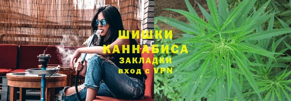 крисы Богородицк