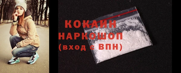 крисы Богородицк